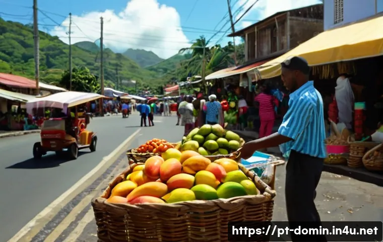 도미니카 연방에서 휴대폰 사용법 관련 이미지 1