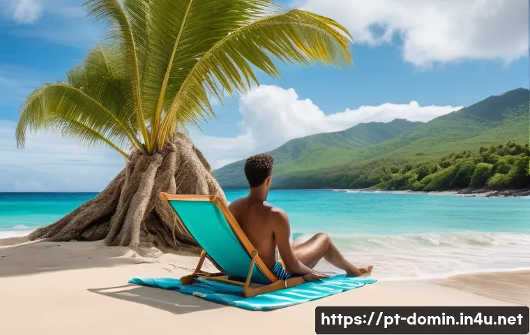 도미니카 연방에서 휴대폰 사용법 관련 이미지 2